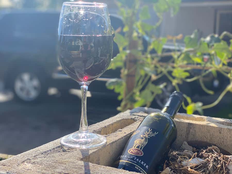 Discover Hahndorf & Taste McLaren Vale - What You’ll Learn About McLaren Vale (Without Overdoing It)