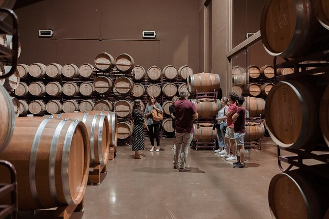 Discover La Rioja: Guided Winery Tour & Wine Tasting - Alfaro’s former hangar winery: why the setting matters