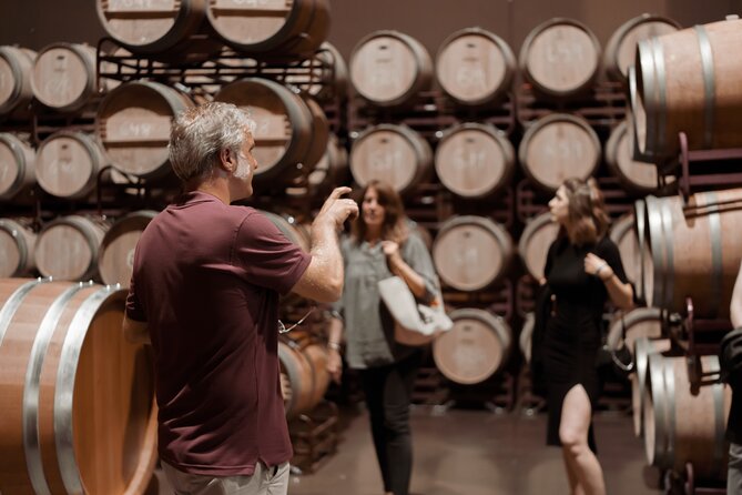 Discover La Rioja: Guided Winery Tour & Wine Tasting - Inside the winery tour: seeing tradition in the process