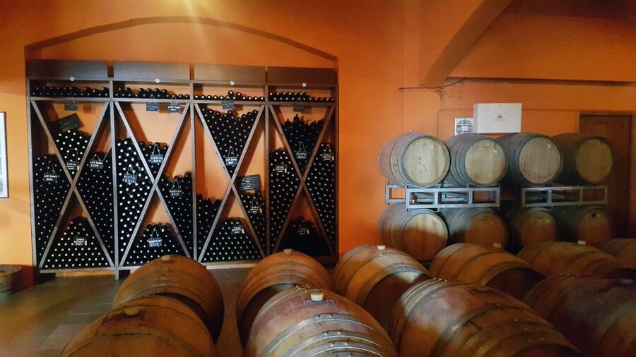 Discover Taste of Crete: Guided Winery Tour and Tastings - What the Wine Tastings Actually Include (and How to Use Them)