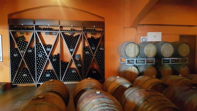 Discover Taste of Crete: Guided Winery Tour and Tastings - Group Style, Languages, and the Little Things That Affect Comfort