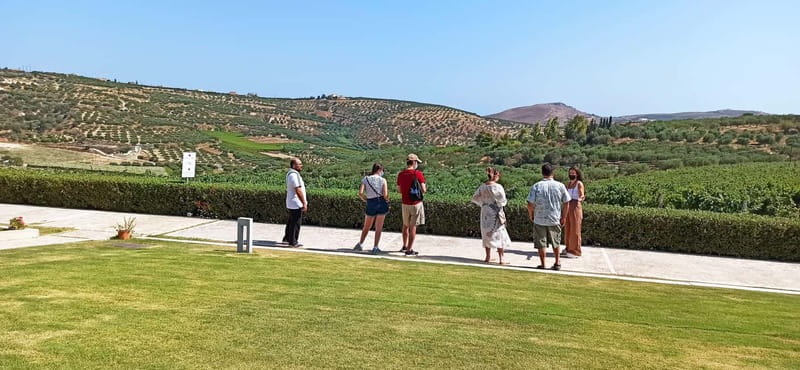 Discover Taste of Crete: Guided Winery Tour and Tastings - Should You Book Taste of Crete: Guided Winery Tour and Tastings?