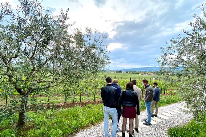 Discover the Amarone wine: 1 winery with delicious food pairing - The food pairing at the winery: light lunch, big comfort