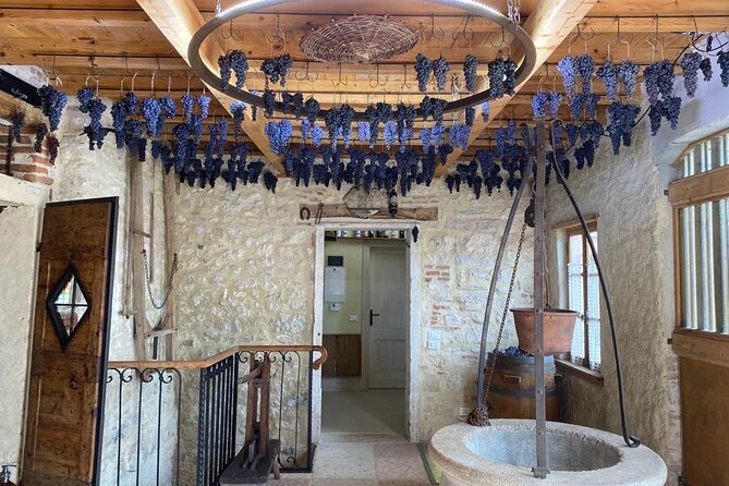 Discover the Amarone wine: 1 winery with delicious food pairing - Who should book this Valpolicella tasting tour?