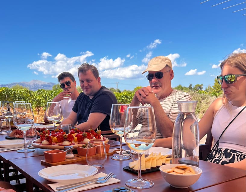 Discover the treasures of the Mallorca wine on a top winery - Why the group format feels friendly (even when it’s not private)