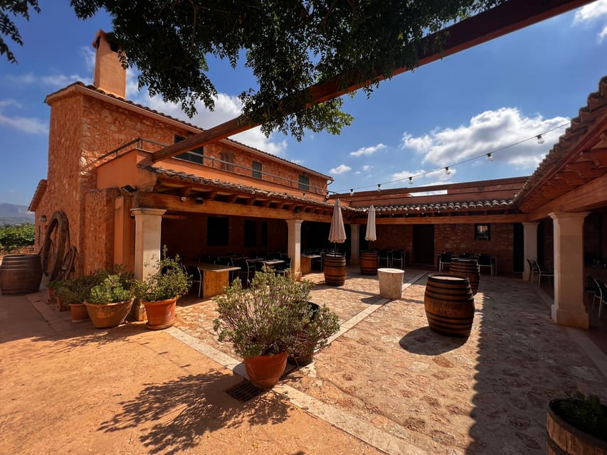 Discover the treasures of the Mallorca wine on a top winery - Who should book this Mallorca wine experience?
