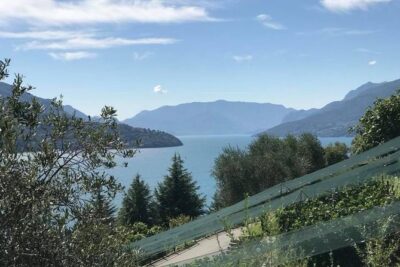 Domaso: Wine Tasting at the Winery on Como Lake - Getting to Azienda Agricola Sorsasso in Domaso (and why it matters)
