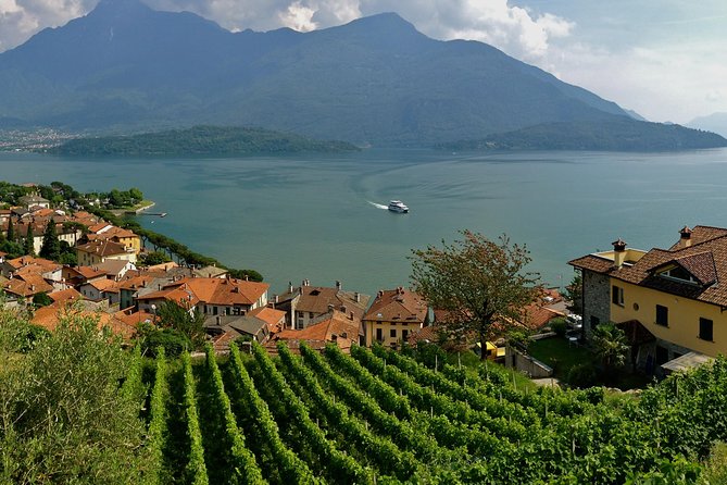 Domaso: Wine Tasting at the Winery on Como Lake - How Long It Takes (and why you should plan for more than 90 minutes)