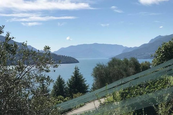 Domaso: Wine Tasting at the Winery on Como Lake - Getting to Azienda Agricola Sorsasso in Domaso (and why it matters)
