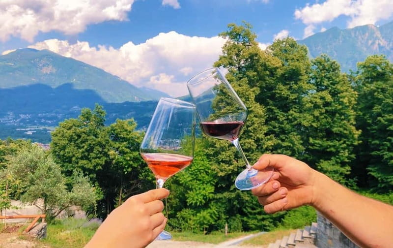Domodossola: Savor Wines & Local Treats in a Scenic Vineyard - A Vineyard Tasting Above Domodossola: What Makes It Special