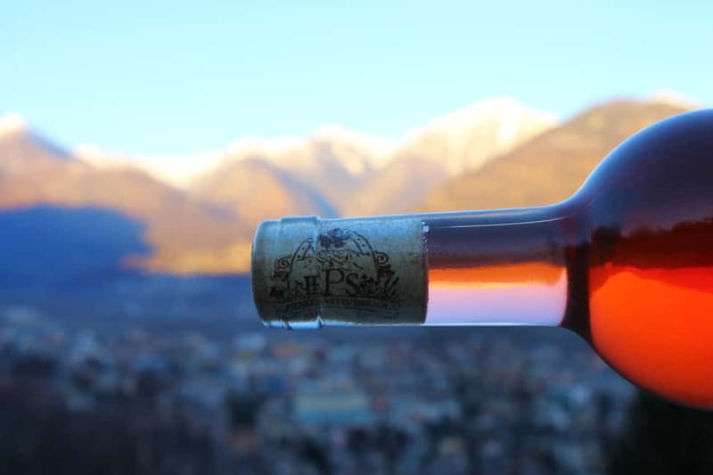 Domodossola: Savor Wines & Local Treats in a Scenic Vineyard - Self-Guided Vineyard and Cellar Time: Freedom With a Plan