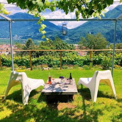 Domodossola: Savor Wines & Local Treats in a Scenic Vineyard - The 3 Valli Ossolane DOC Wines and the Local Board