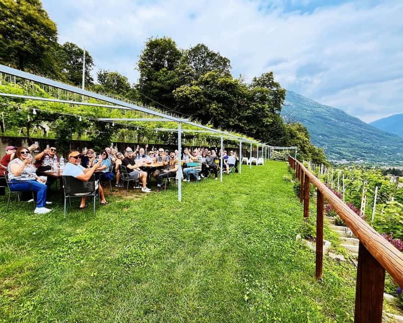 Domodossola: Savor Wines & Local Treats in a Scenic Vineyard - Alpine Views Over Domodossola: When the Scenery Becomes Part of the Meal