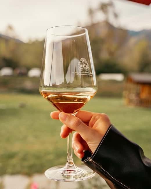 Domodossola: Savor Wines & Local Treats in a Scenic Vineyard - Price and Value: Is $31 Worth It?