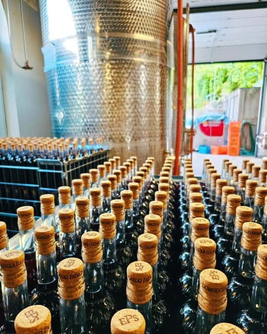 Domodossola: Savor Wines & Local Treats in a Scenic Vineyard - Possible Drawbacks (and How to Make It Work)