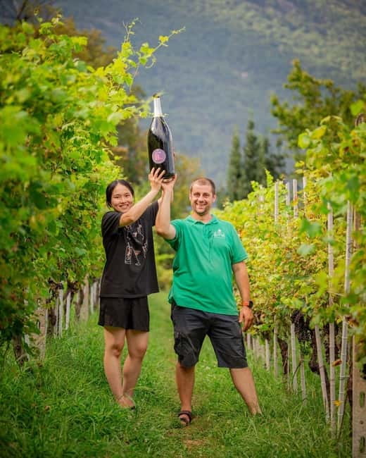 Domodossola: Savor Wines & Local Treats in a Scenic Vineyard - Should You Book This Wine Tasting in Ossola?