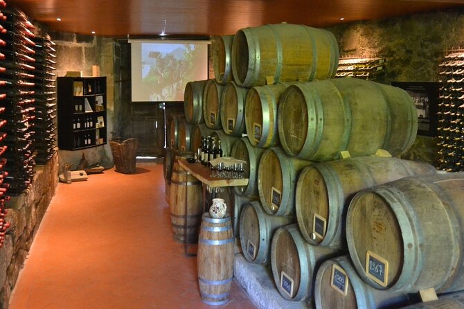 Douro Three Winery Small Group Tour with Lunch and Tastings - Cool, practical, and very wine-focused