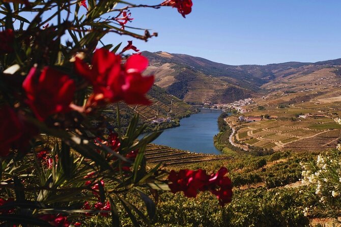 Douro Three Winery Small Group Tour with Lunch and Tastings - A morning ride from Porto into the UNESCO Douro Valley