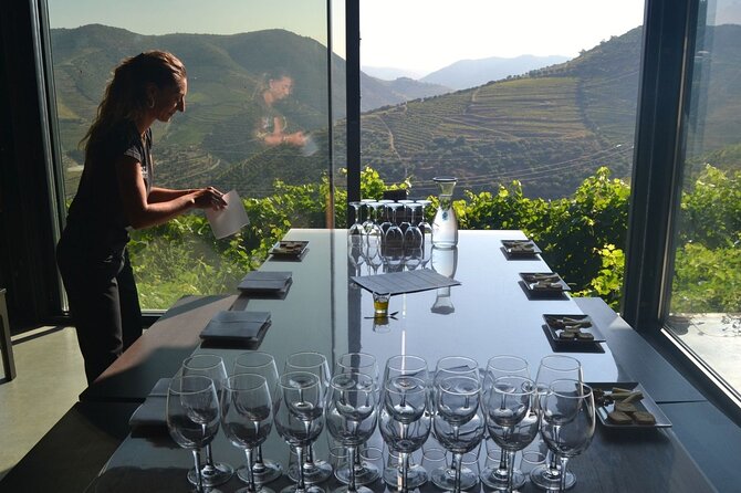 Douro Three Winery Small Group Tour with Lunch and Tastings - Lunch at the estate: Douro DOC wines and a guided port tasting