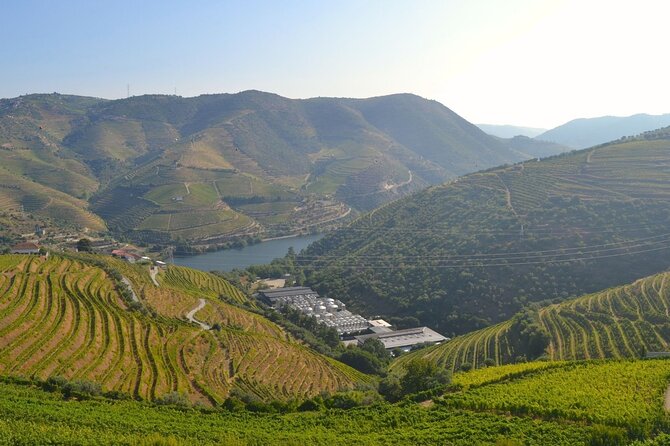 Douro Three Winery Small Group Tour with Lunch and Tastings - The day’s pace: small group comfort and how the guide fits in