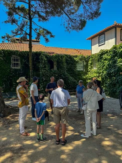Douro Valley: 4x4 Safari and Vineyard Visit - Should you book the Douro Valley 4x4 safari and vineyard visit?