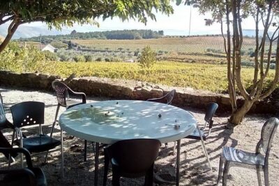 Douro Valley: A Half-Day, 1 winery, tatings & 1-h Boat tour - Douro Valley winery tasting: small bites, big stories, and real olive oil
