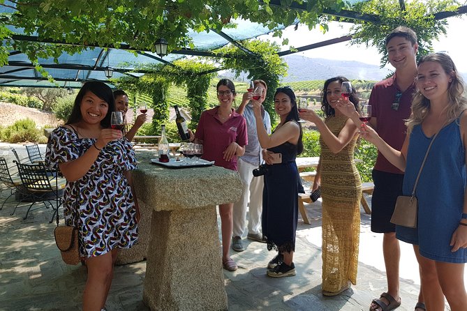 Douro Valley for Wine Lovers with Visit to 4 Wineries and Lunch - From Porto to the Douro: Morning Pickup and a Long, Real Day