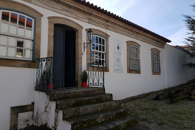 Douro Valley for Wine Lovers with Visit to 4 Wineries and Lunch - Timing Tips: Breakfast, Rest Stops, and Motion on Winding Roads