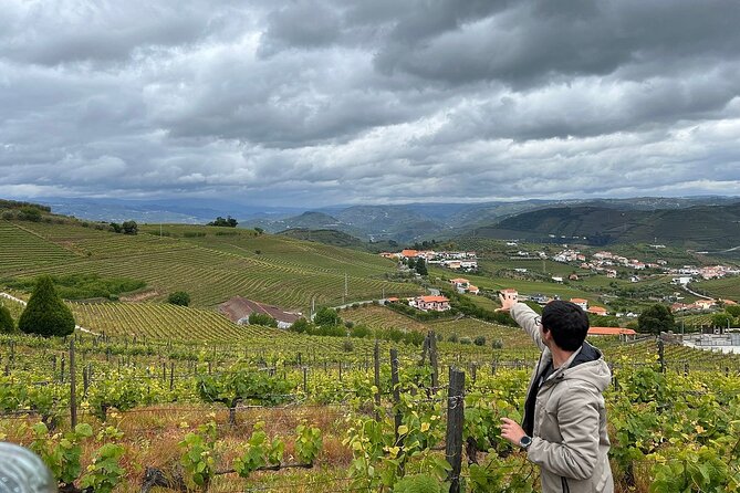 Douro Valley for Wine Lovers with Visit to 4 Wineries and Lunch - Price and Value at $205.67: What You Get for the Money