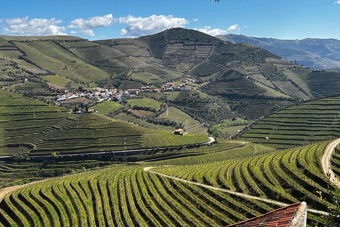 Douro Valley Half-Day Tour with Winery and Lunch From Porto - Quick hits before you go