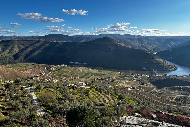 Douro Valley Half-Day Tour with Winery and Lunch From Porto - Getting Back to Porto: The Pace and Comfort Check
