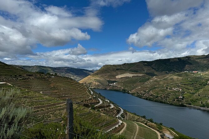 Douro Valley Half-Day Tour with Winery and Lunch From Porto - Lunch in Tabuaco: The Local Meal Part