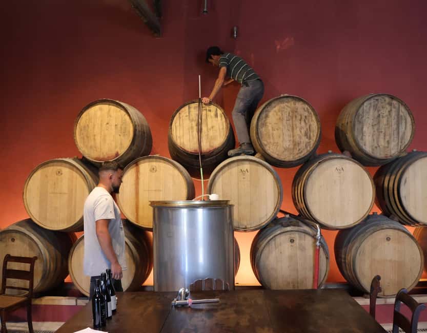 Douro Valley: Half-Day, with 1 winery & 1-h boat tour - Should you book this Douro half-day with winery and boat?