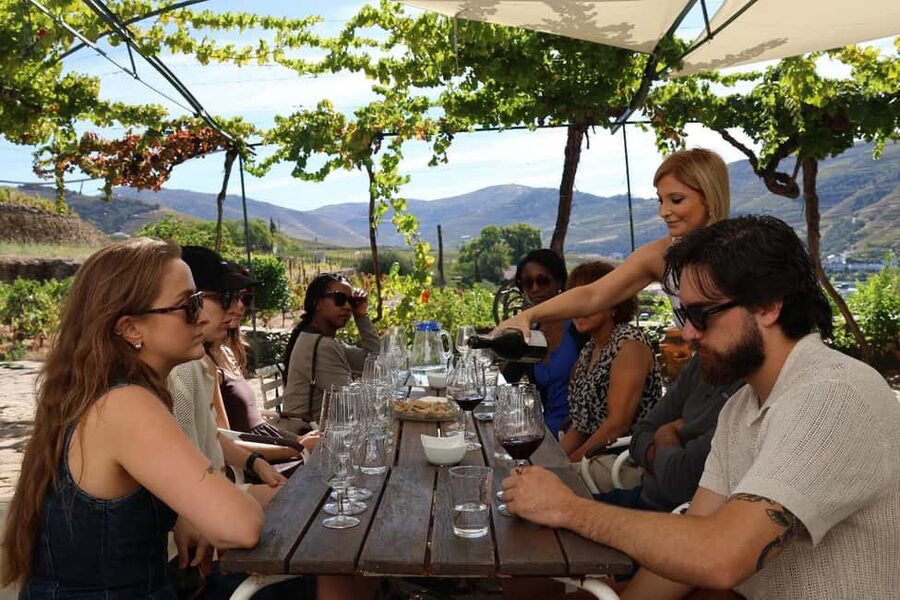 Douro Valley: Half-Day, with 1 winery & 1-h boat tour - A half-day Douro Valley plan that fits Porto time