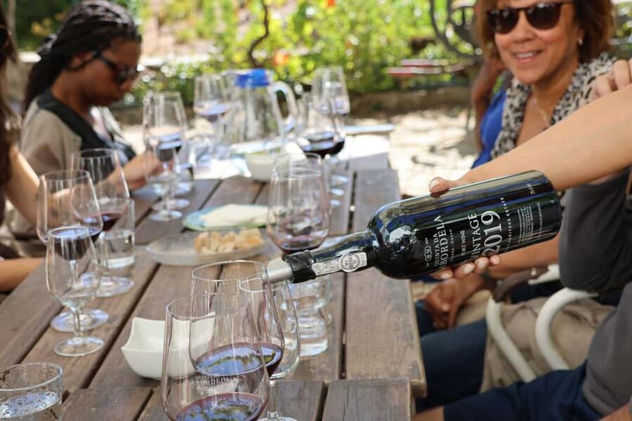 Douro Valley: Half-Day, with 1 winery & 1-h boat tour - The drive along the Douro and N222 photo stops