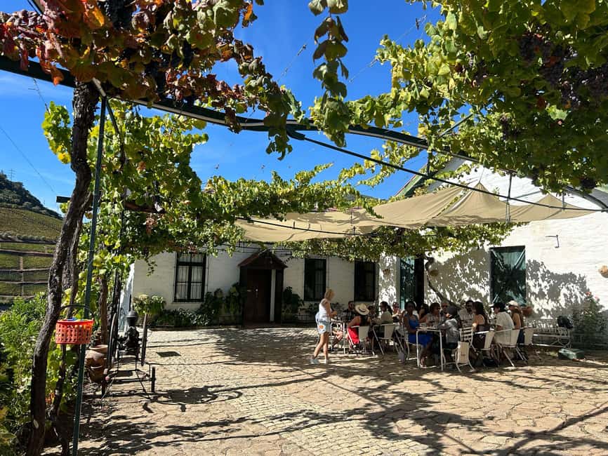 Douro Valley: Half-Day, with 1 winery & 1-h boat tour - Inside the family-run winery tasting (wines + olive oil)
