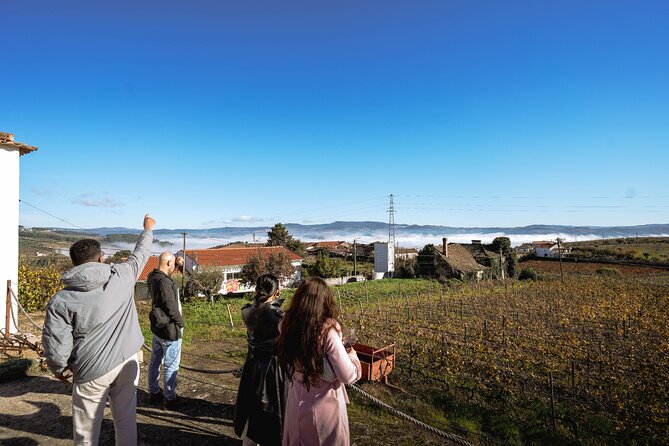 DOURO VALLEY: Lunch in a winery, tastings & 1-h private boat tour - Pinhão Winery Tastings: Small Estates, Real Producer Stories