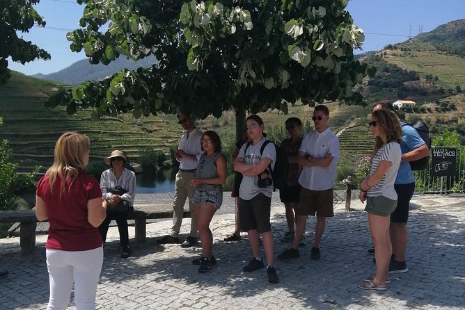 DOURO VALLEY: Lunch in a winery, tastings & 1-h private boat tour - Peso da Régua Lunch Paired With Douro Wines and a Port Tasting Finish