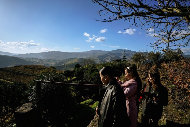DOURO VALLEY: Lunch in a winery, tastings & 1-h private boat tour - Price and Value: How $139.08 Works in Real Terms