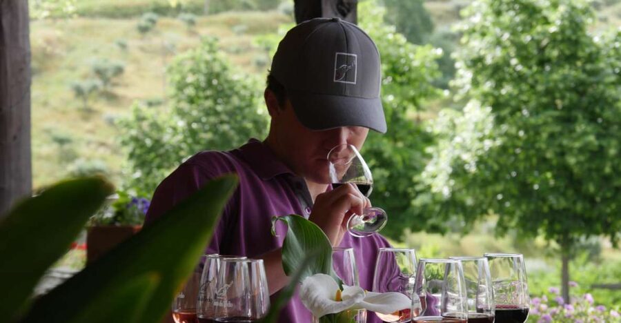 Douro Valley: Premium Port Tasting Winery Tour & River Views - Entering the winery between Régua and Pinhão