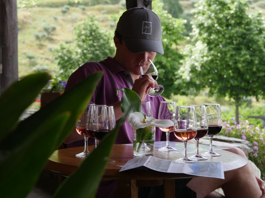 Douro Valley: Premium Port Tasting Winery Tour & River Views - Historic lagares and foot-treading: seeing where tradition lives