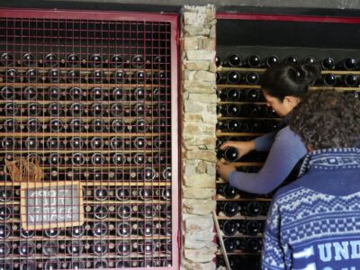 Douro Valley: Premium Port Tasting Winery Tour & River Views - Cellars, aging, and the Port vs DOC lesson you’ll remember