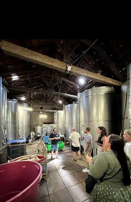 DOURO VALLEY: Premium Wine Tour, Winery Lunch & Private Boat - Time, pace, comfort, and who this tour suits best