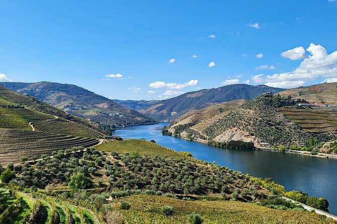 Douro Valley Private Tour (winery + boat + viewpoint) - Key things I’d bet you’ll notice fast