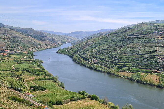 Douro Valley Private Tour (winery + boat + viewpoint) - Peso da Régua start point: easy meeting, flexible pickup