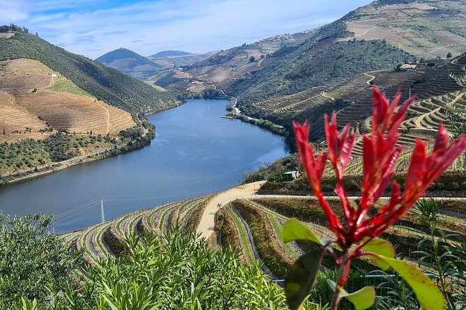 Douro Valley Private Tour (winery + boat + viewpoint) - Viewpoint stop: fast photos, big scale perspective