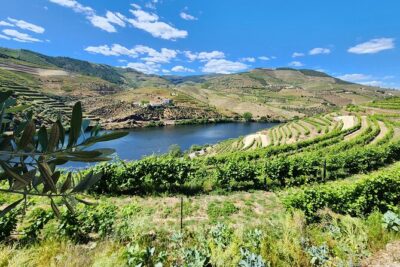Douro Valley Private Tour (winery + boat + viewpoint) - The N222 drive to Pinhão: the scenery is part of the itinerary