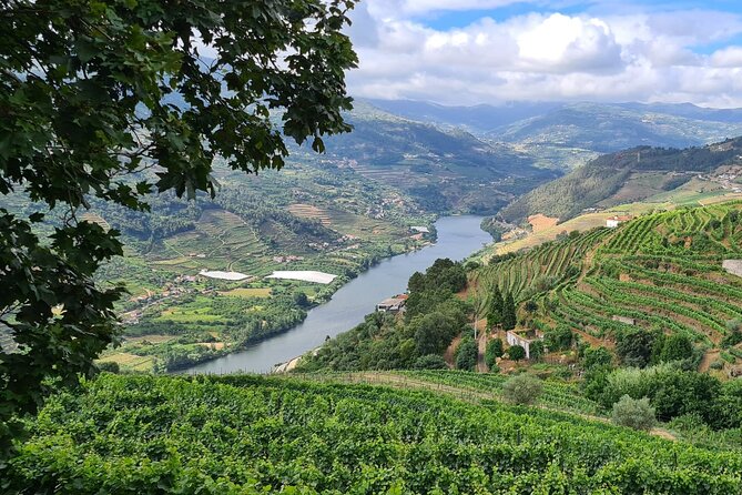 Douro Valley Private Tour (winery + boat + viewpoint) - Pickup, private transport, and what’s included in the comfort package