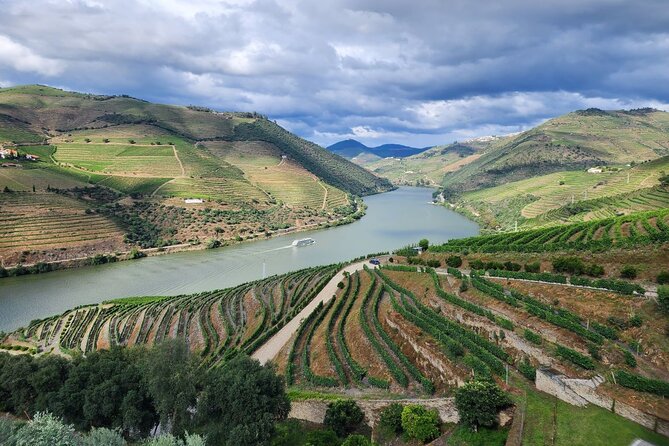Douro Valley Private Tour (winery + boat + viewpoint) - Price and value: what you’re paying for at $198.25 per person