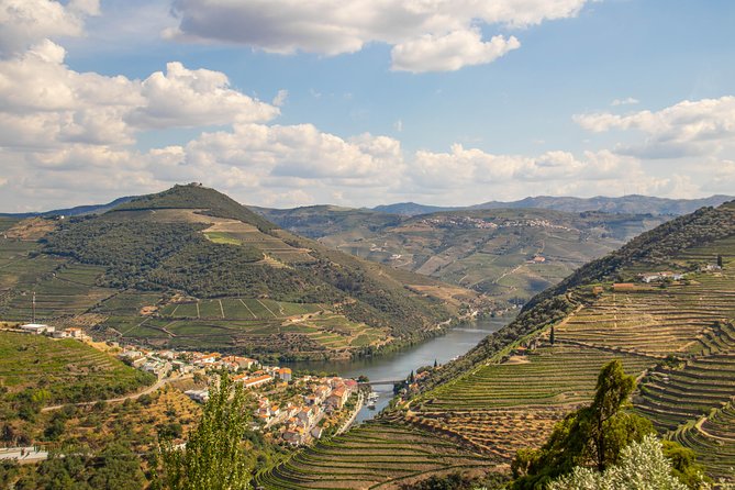 Douro Valley: private tour with lunch and wine estate all inclusive - The N222 Road: scenic driving that actually adds value
